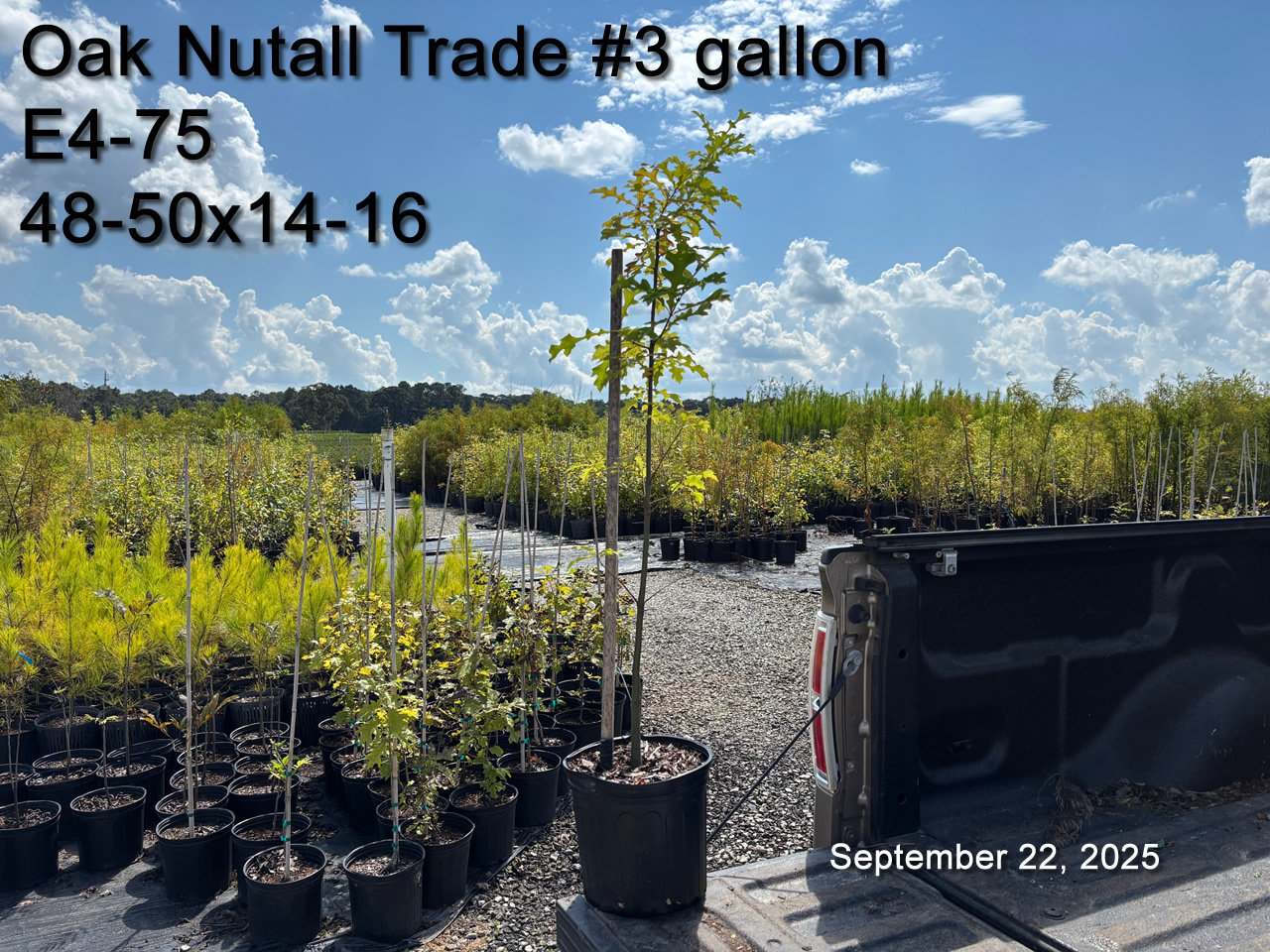 gallery/ont3t e4 sept22.jpg